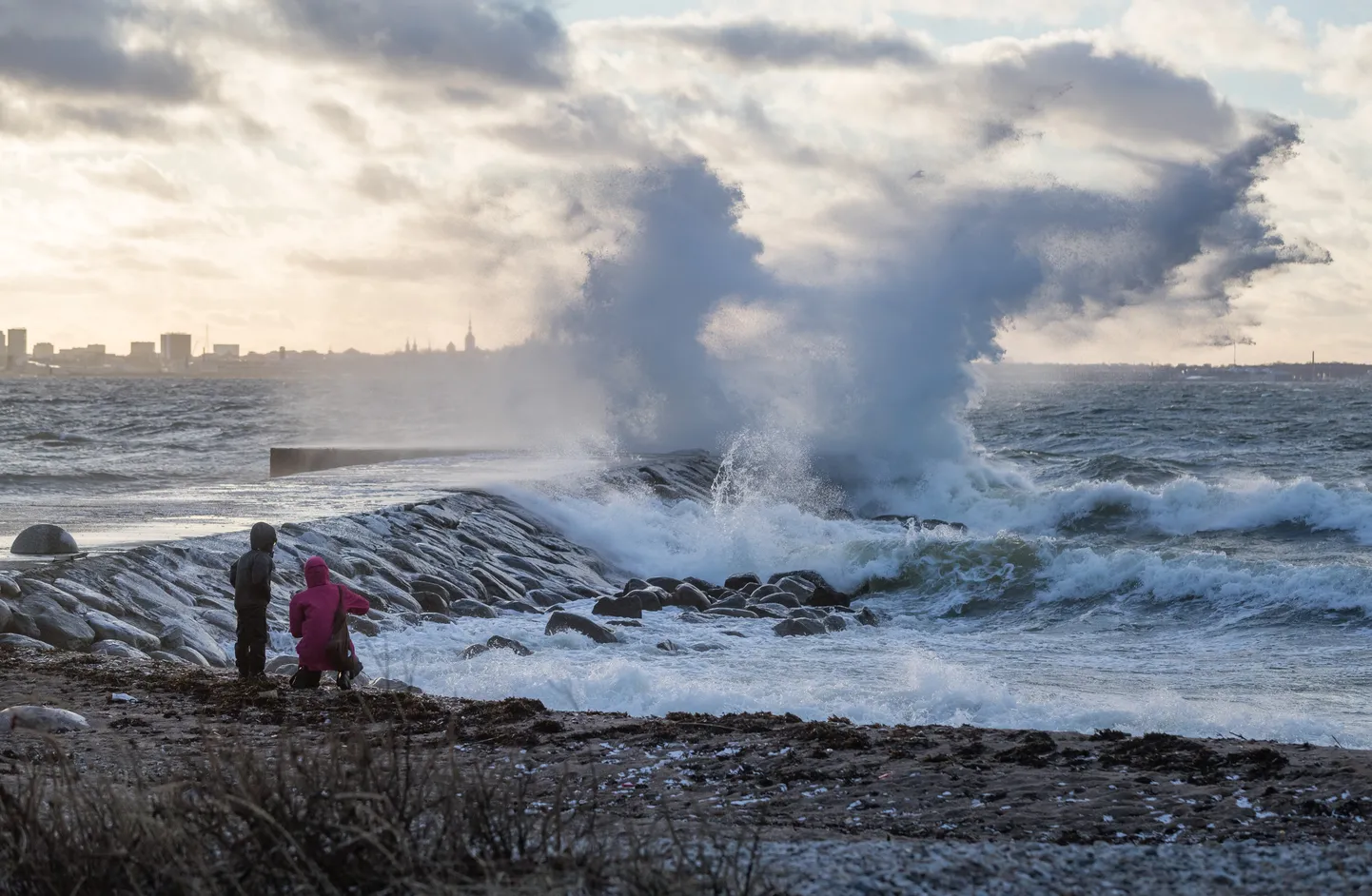 Tallinn, 07.01.2018
Tuuline ilm ja suured lained Pirita teel ja Meriväljal.
FOTO: MIHKEL MARIPUU/EESTI MEEDIA