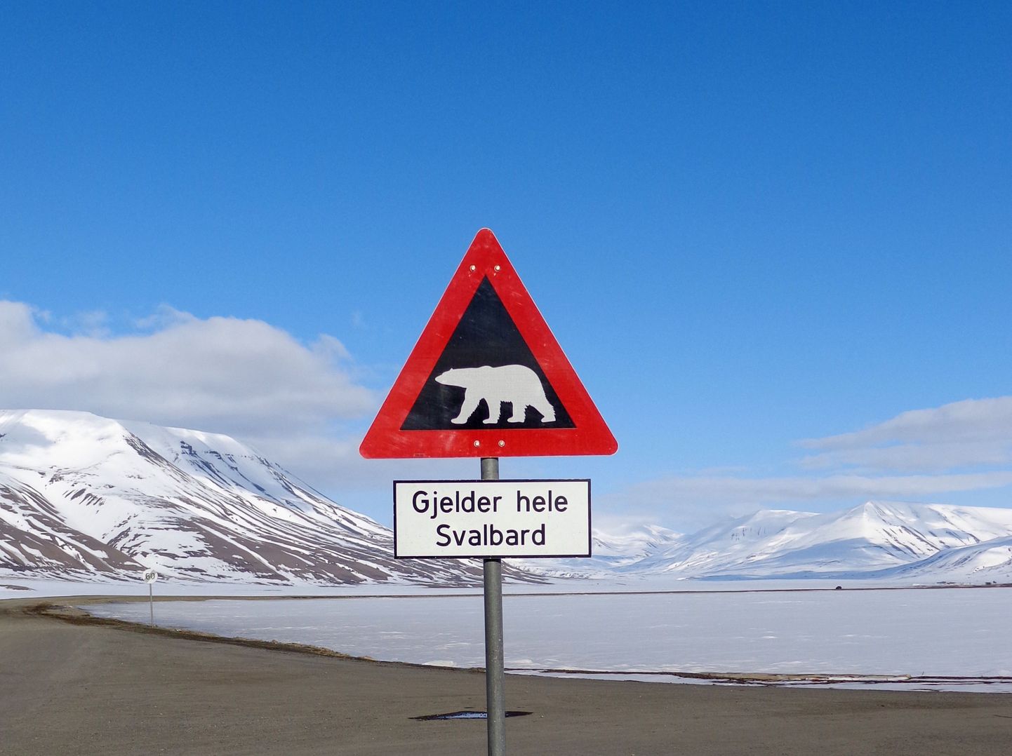 Jääkarude eest hoiatav silt Svalbardi saartel