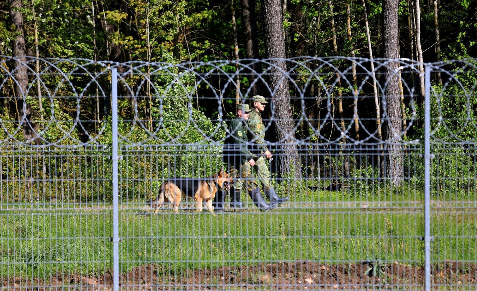 Valgevene piirivalvurid patrullivad mai lõpus Benjakoni piiripunkti lähistel Leedu piiri ääres.