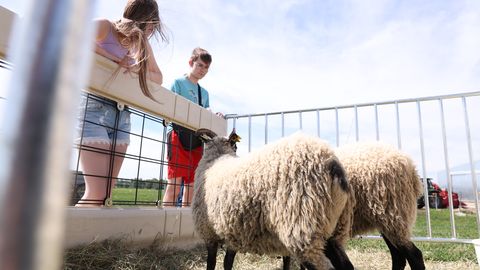 FOTOD ⟩ Mitusada talu üle Eesti avasid oma väravad külastajatele