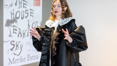 Eesti kunstnik esindab riiki Veneetsia biennaalil