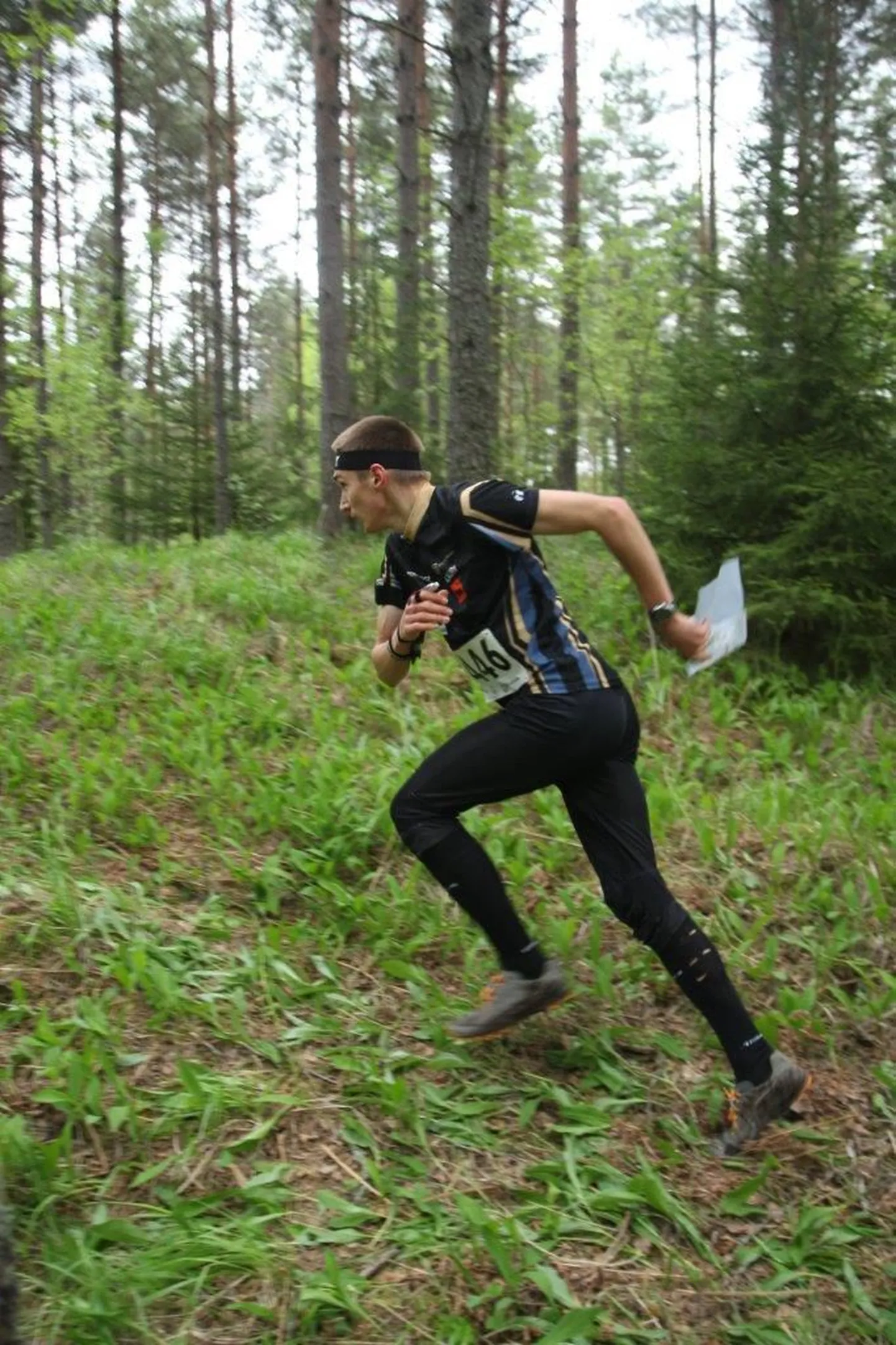 Lauri Sild.