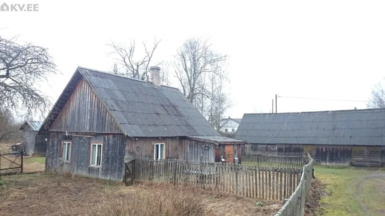 Фото статьи