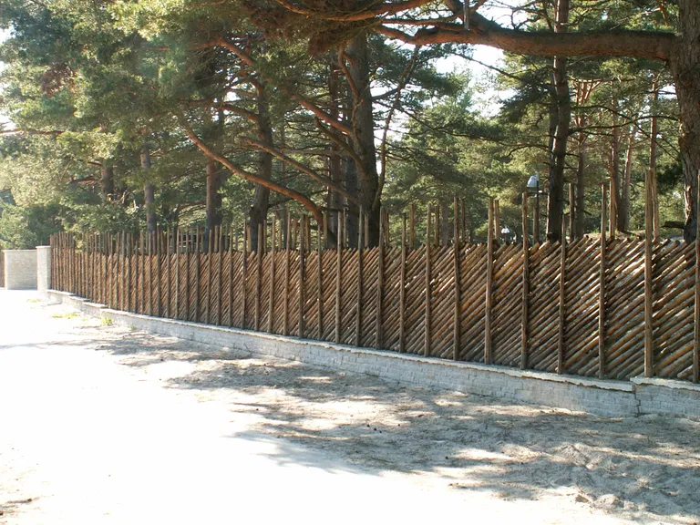 Artikli foto