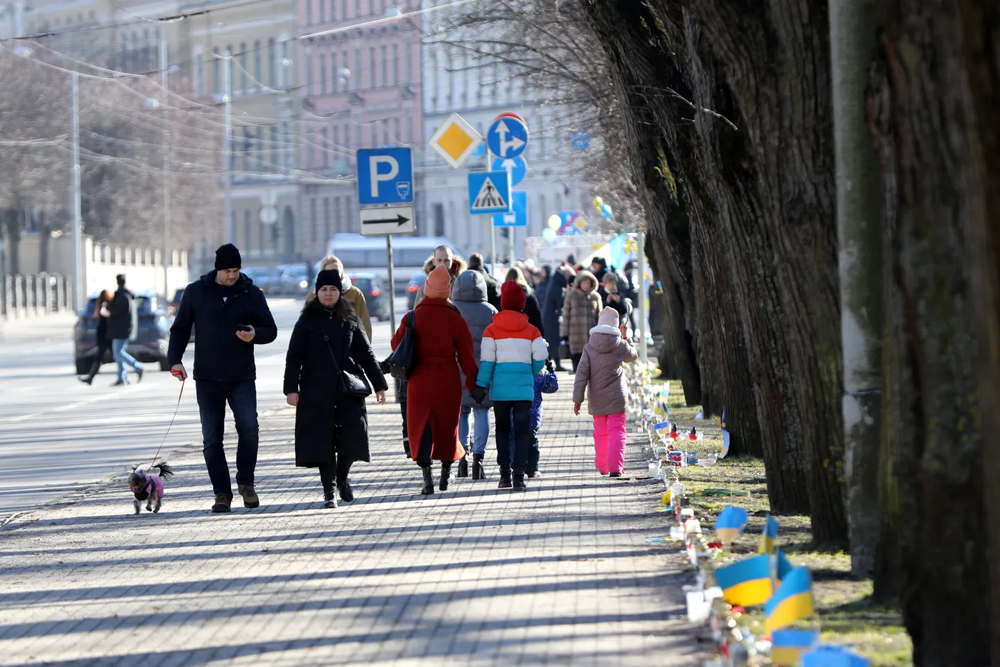 Raksta foto