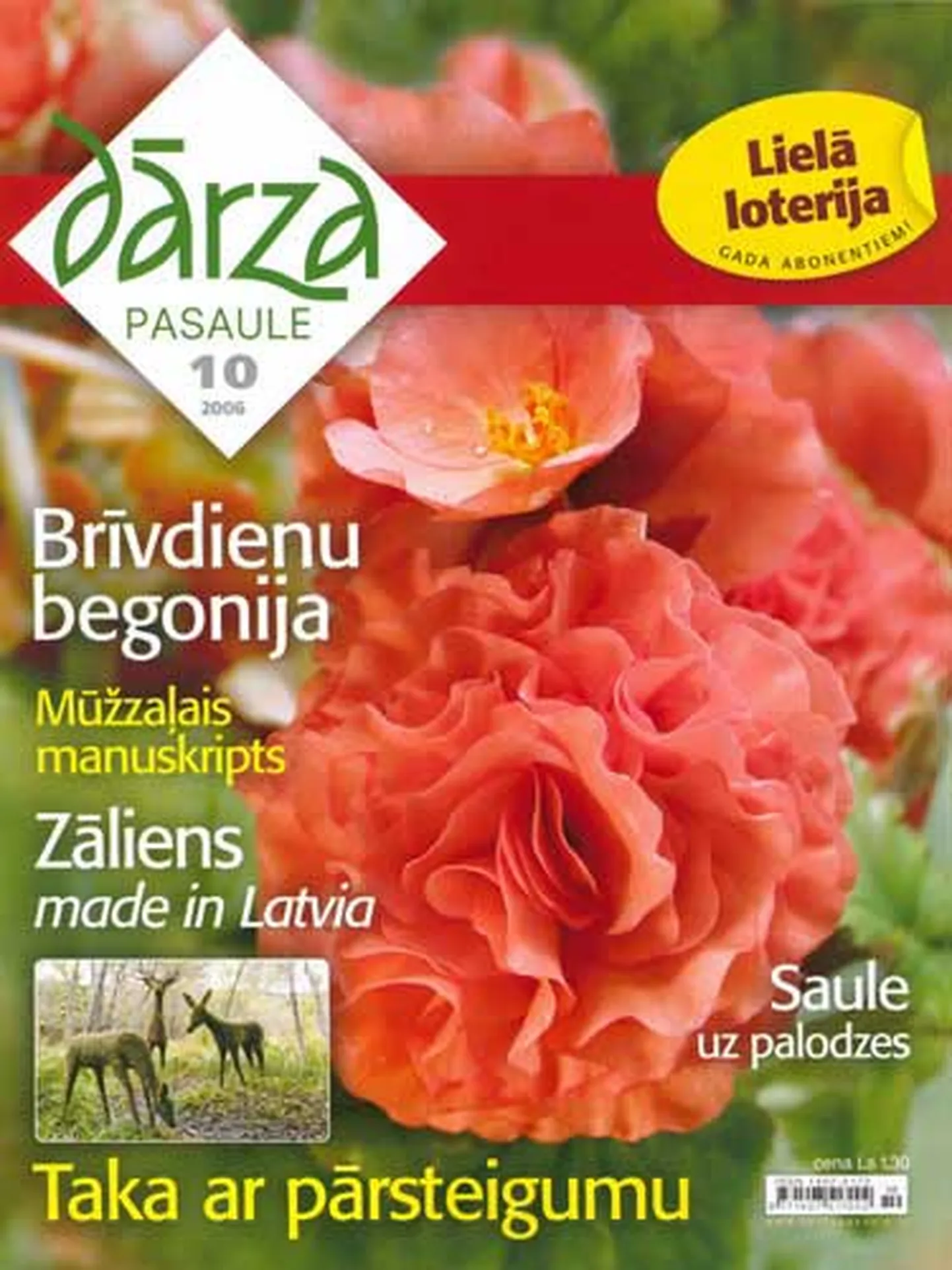 Raksta foto