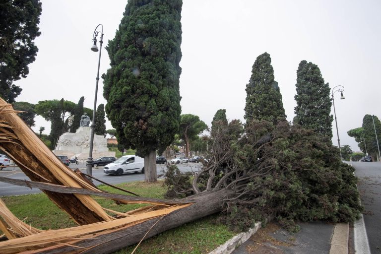 Itaalia sügistormis murdunud puud