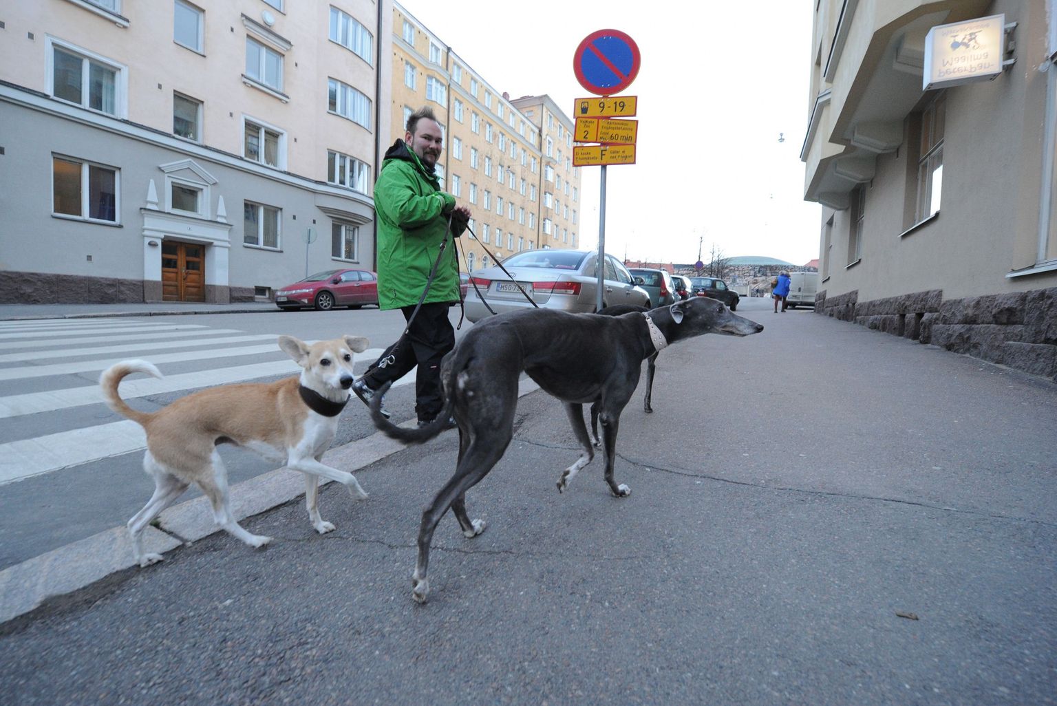 Helsingi koeraomanik koos lemmikutega.