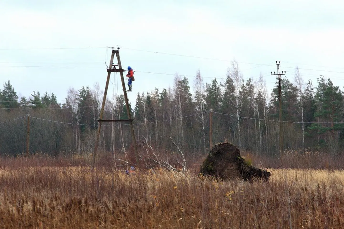 Rikkemeeskond kõrvaldamas riket Uulu ja Surju vahele jääval elektriliinil.