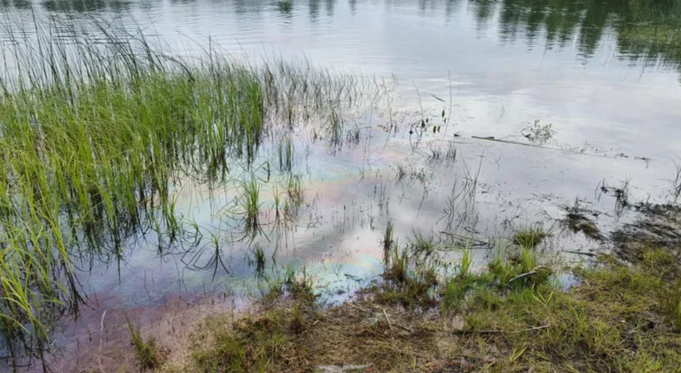 Õlireostus paisjärvel.