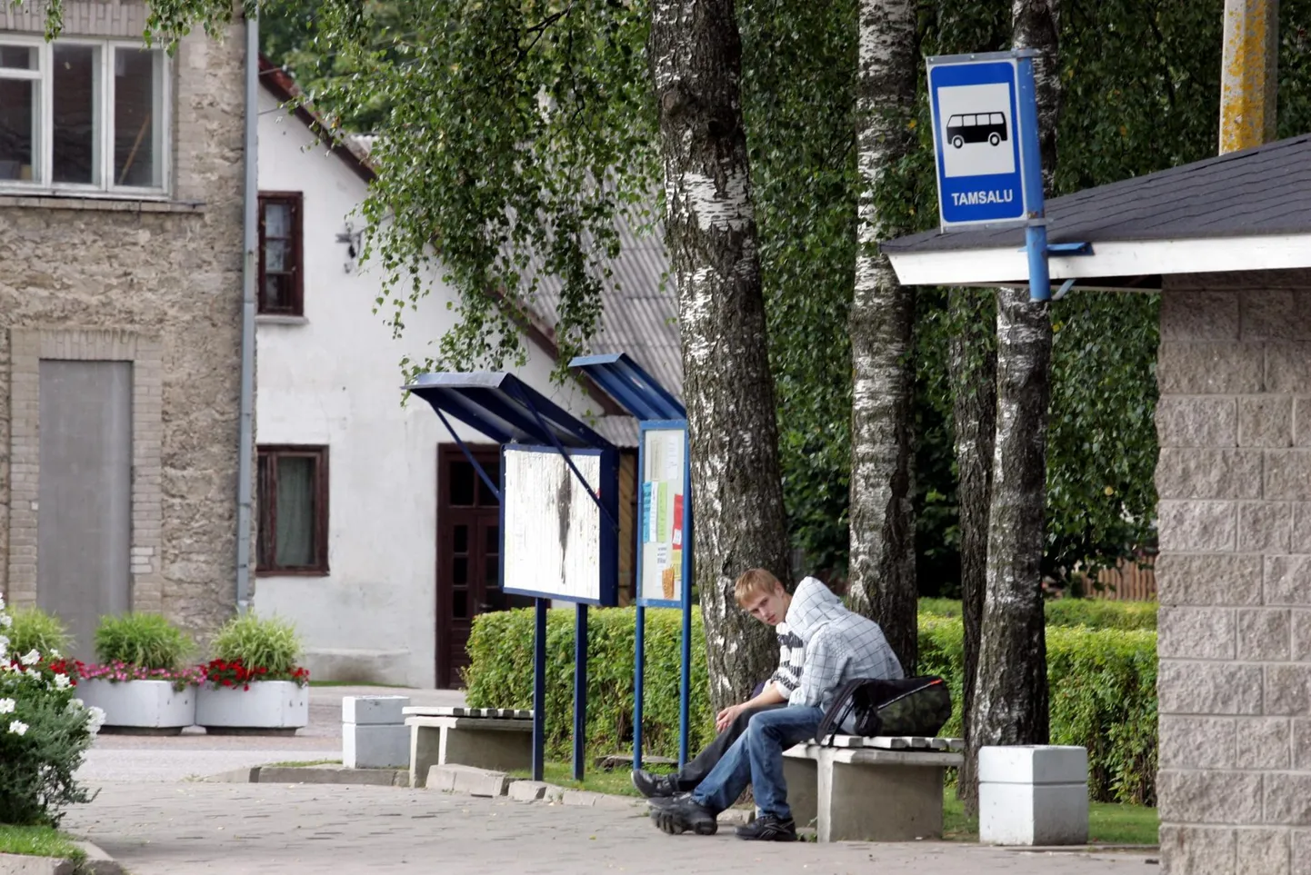 Bussipeatus. Foto on illustratiivne.