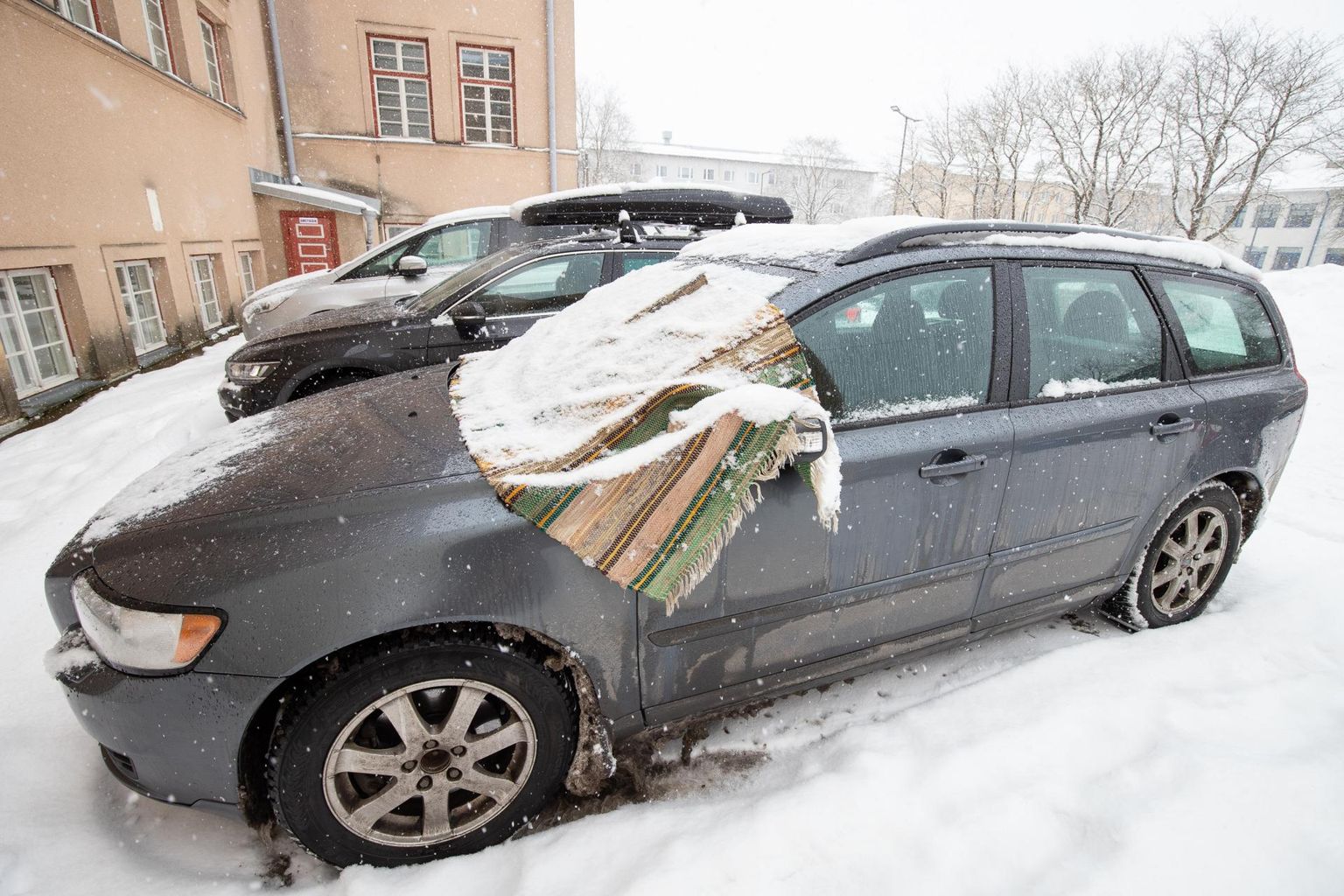 Auto vaiba all.