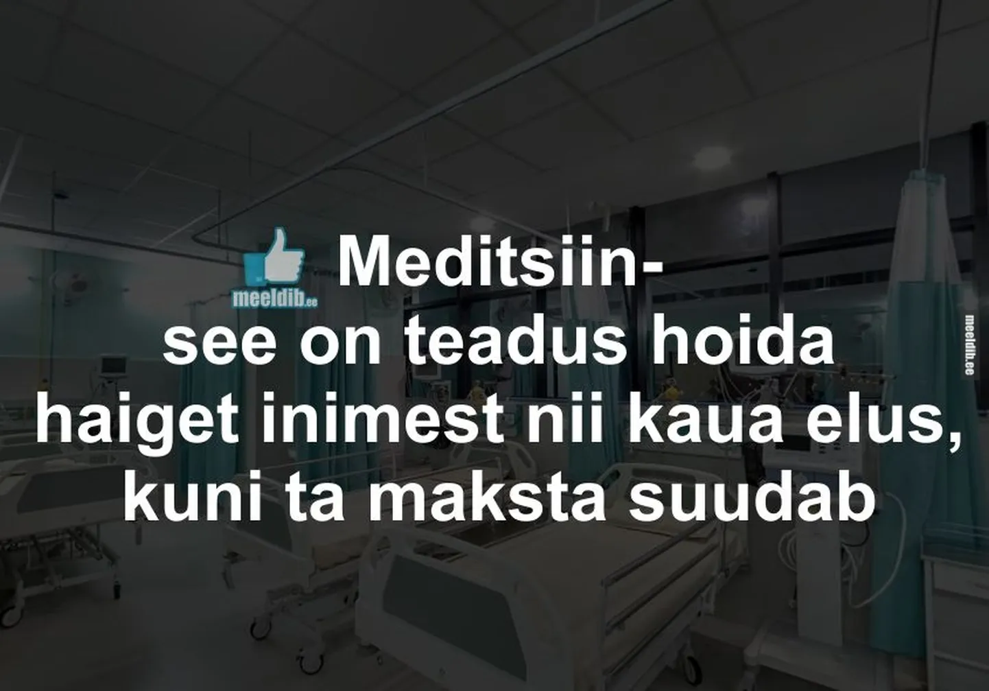 Artikli foto