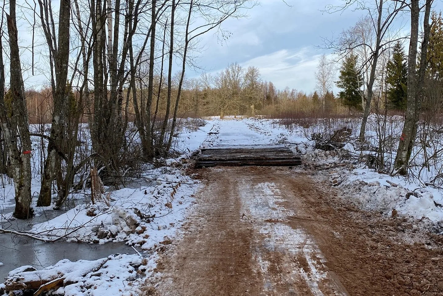Raksta foto