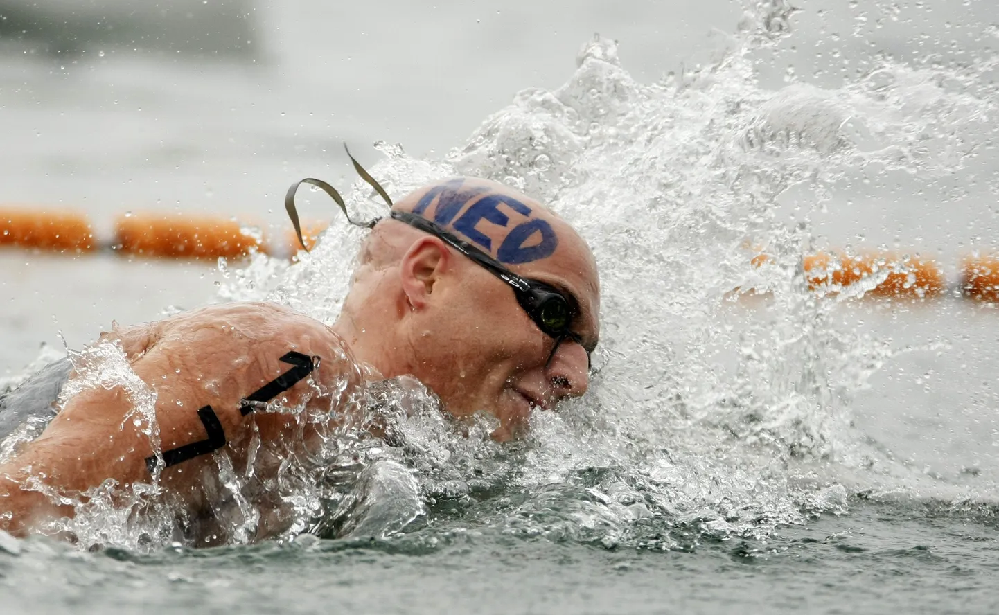 Maarten van der Weijden