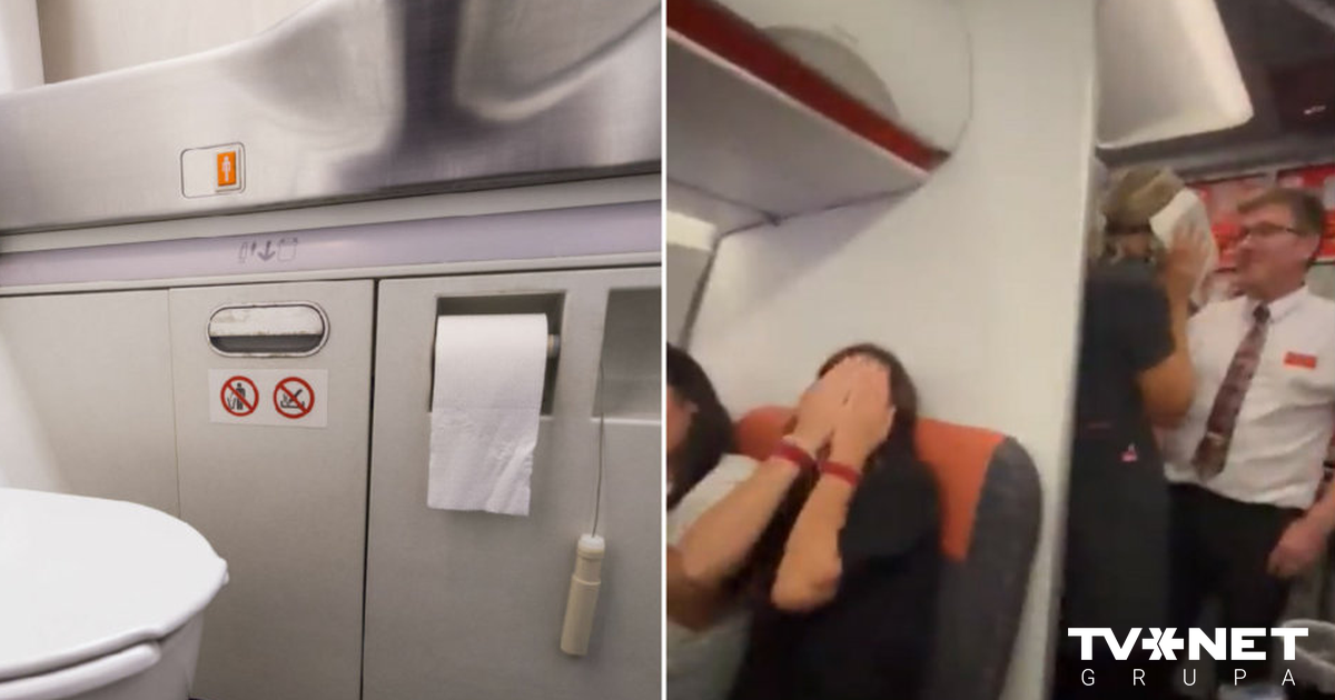ВИДЕО Пара занялась любовью в туалете самолета. В аэропорту их ...