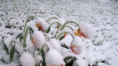 На следующей неделе погода изменится; возможен и снег