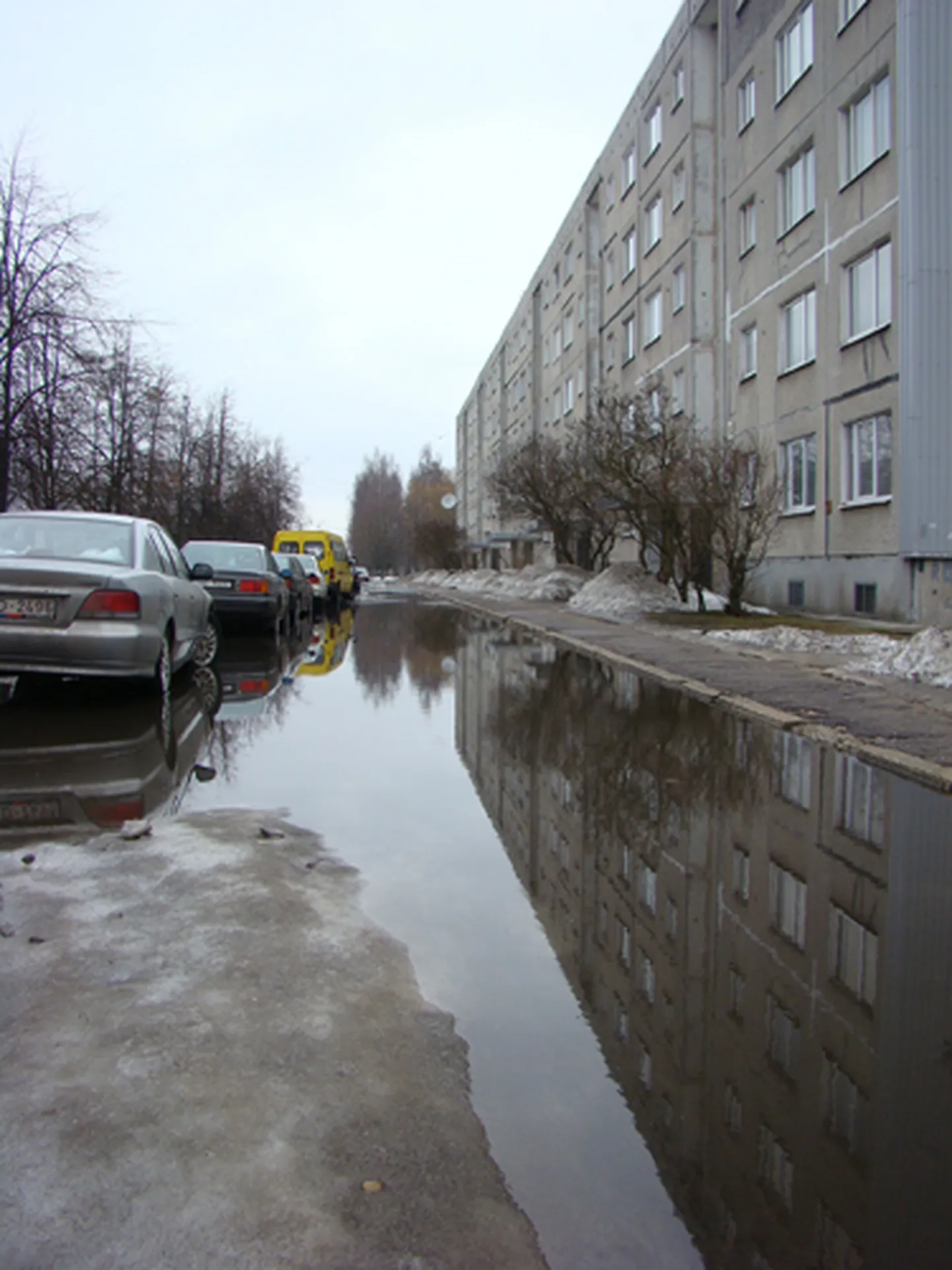 Raksta foto