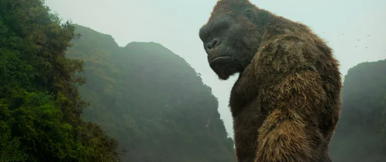 «Kong. Pealuusaar».