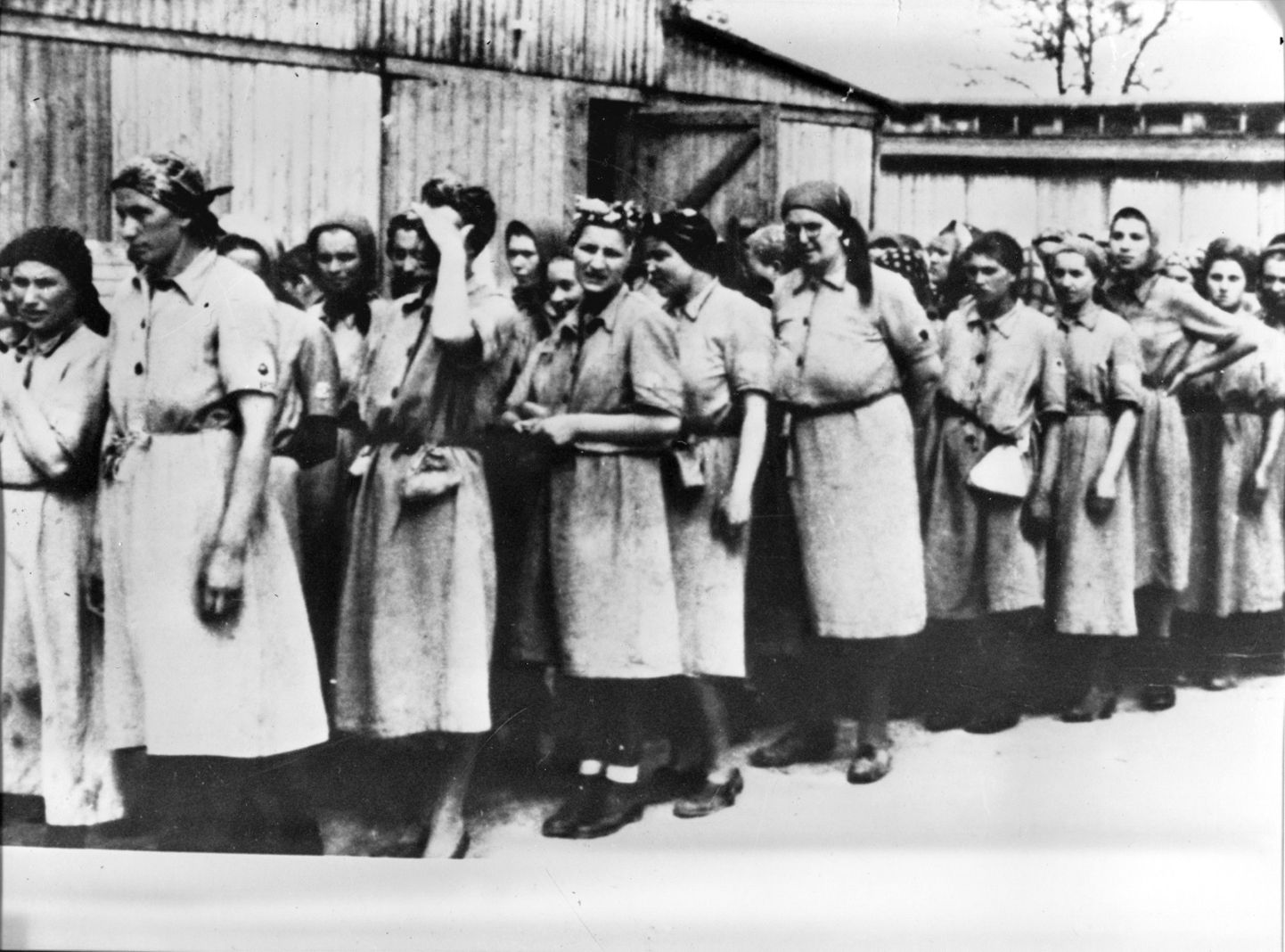 Natsid sundisid koonduslaagrite naisvange prostituutideks. Fotol Auschwitzi saadetud naised