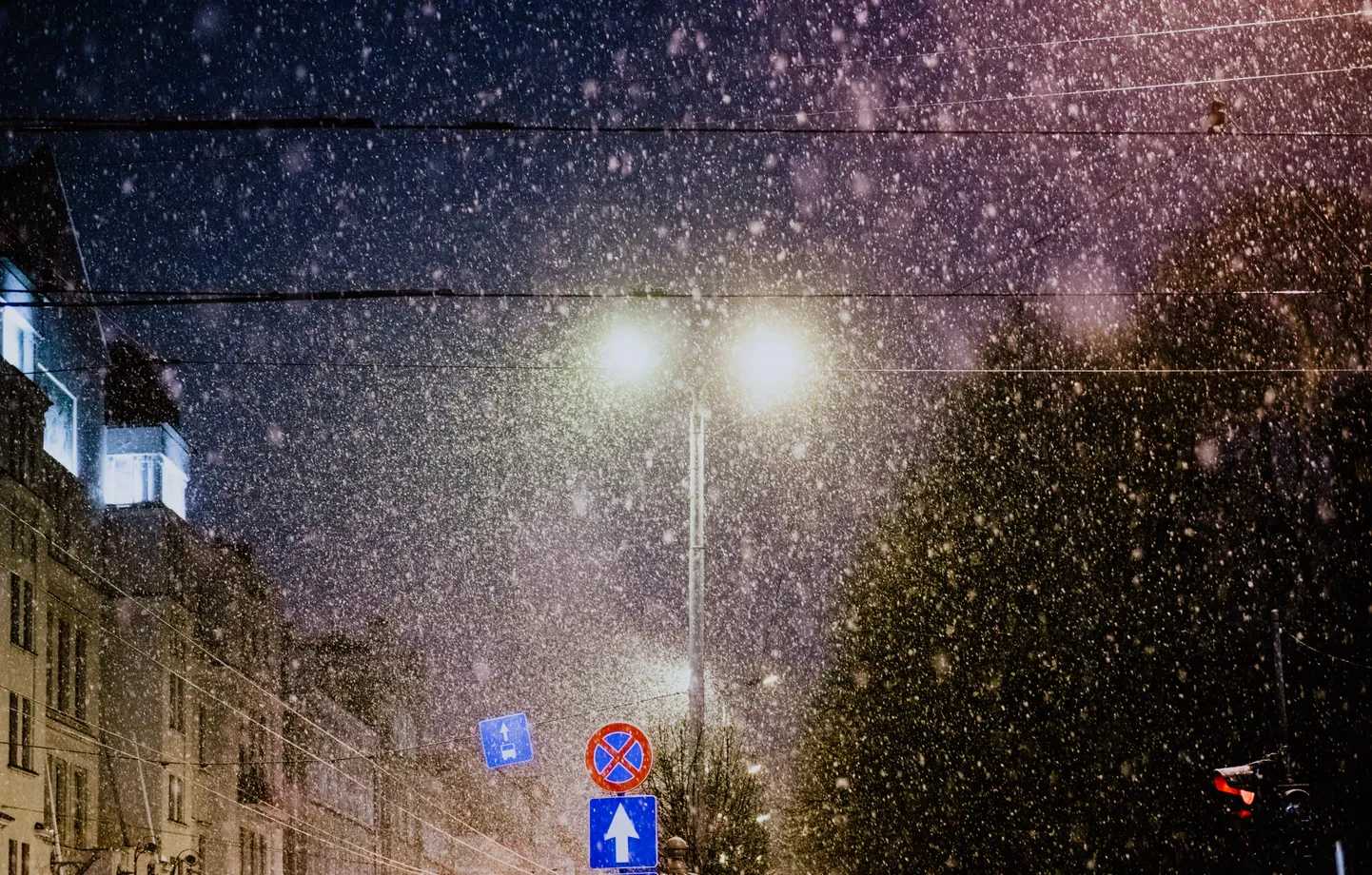 Фото статьи