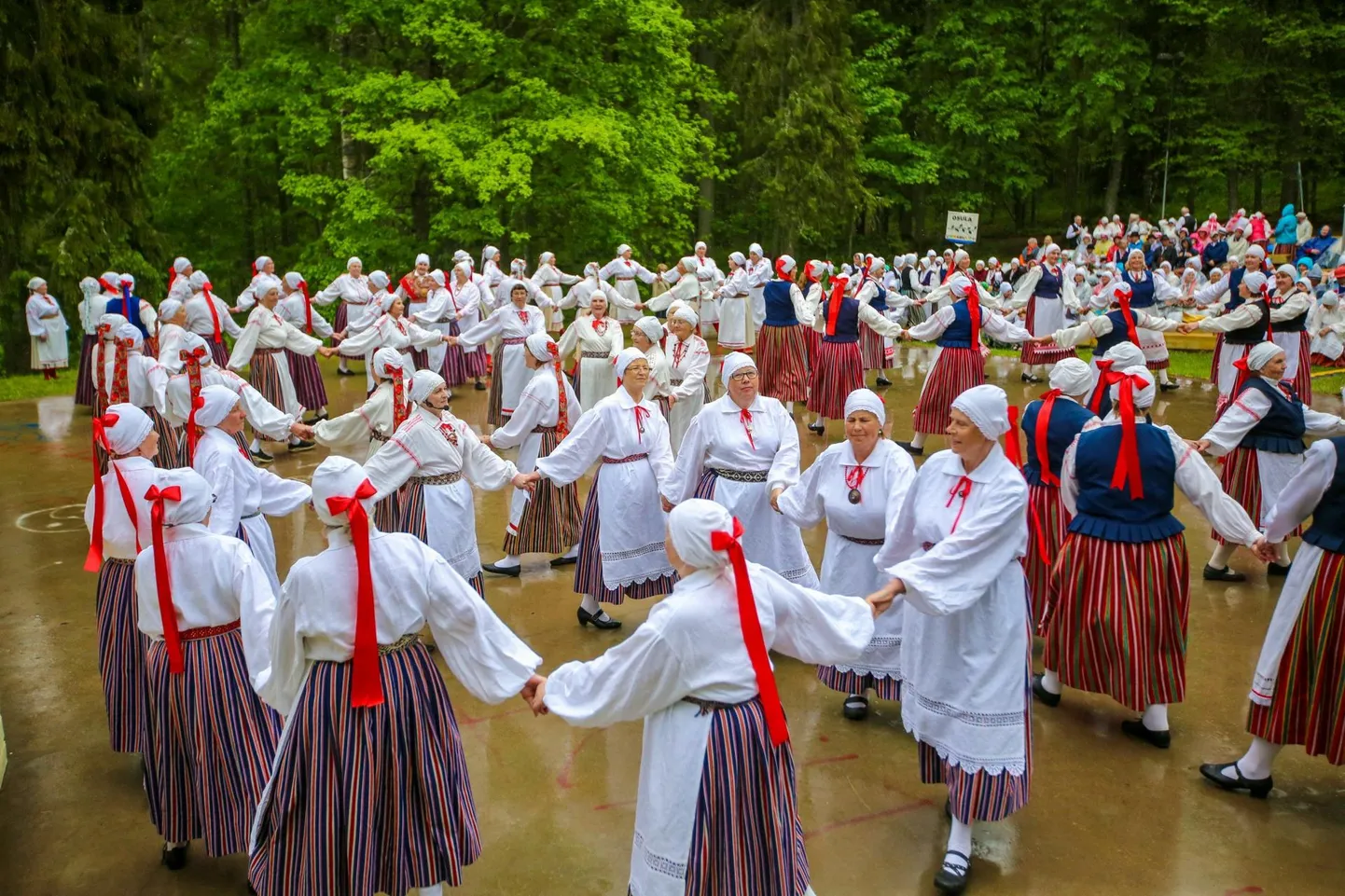 Lõuna-Eesti memme-taadi suvepidu
