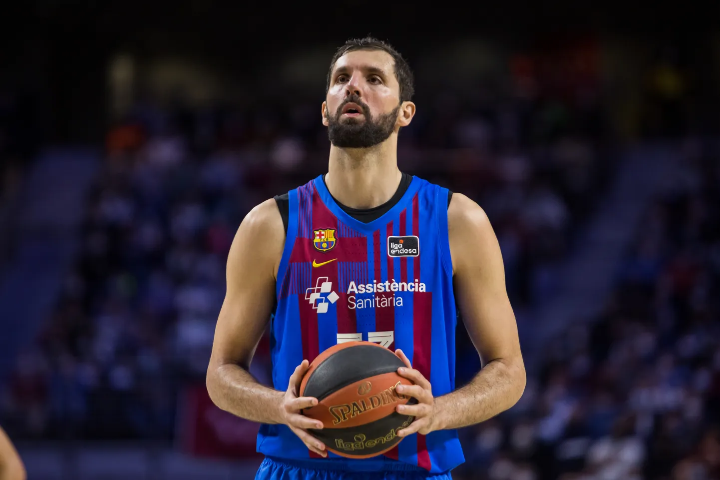 Nikola Mirotic.