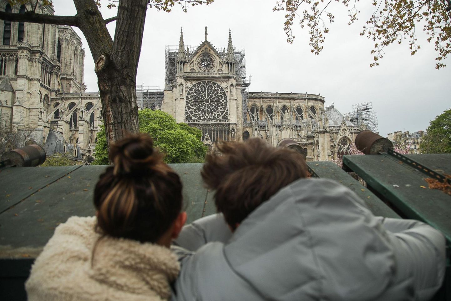 Pildid Notre-Dame'ist päev pärast põlengut