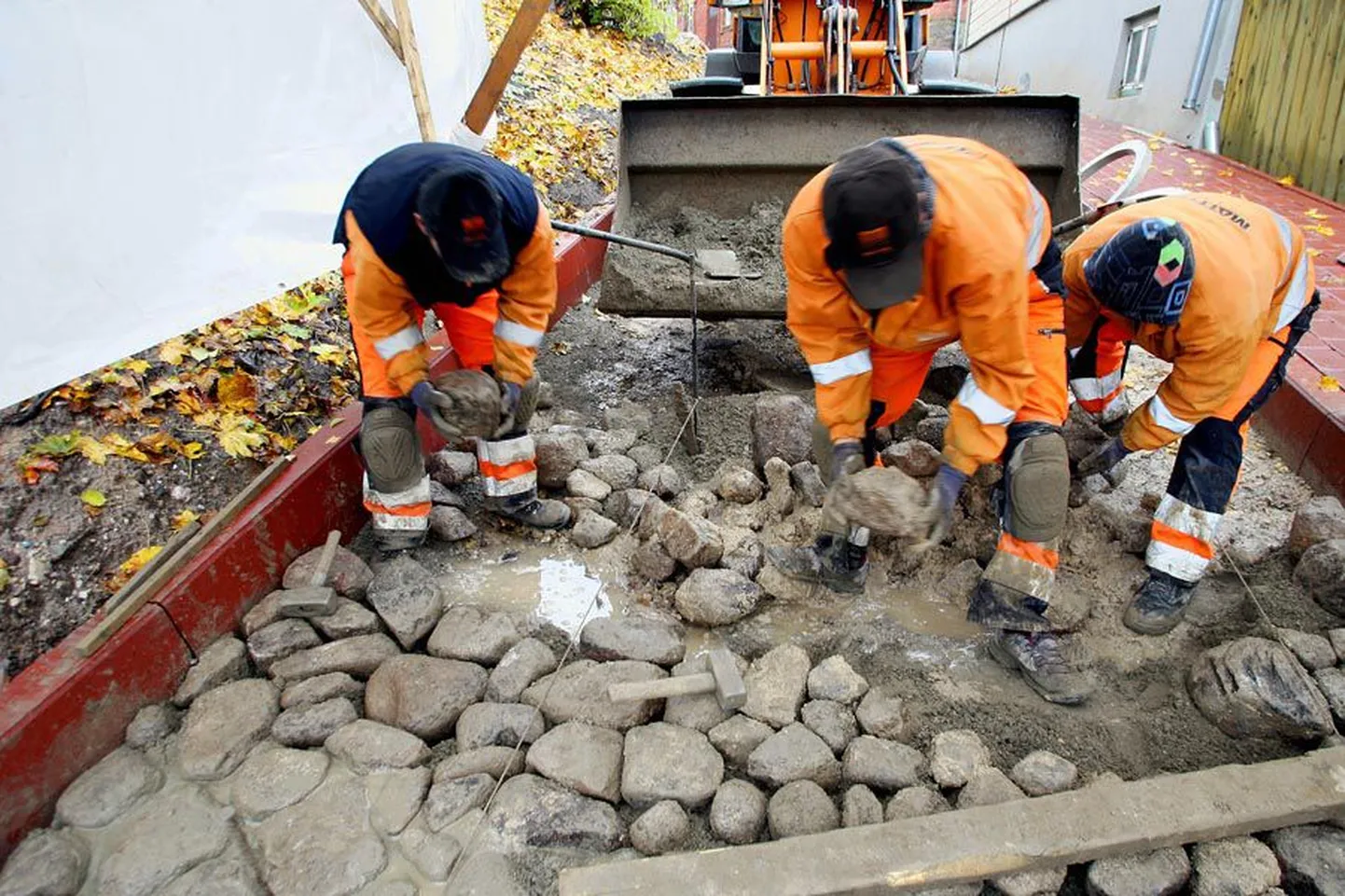 Eile hommikul ootasid töömehed, kuni tihedam sadu möödus, püstitasid siis Pika tänava kohale telgi ja hakkasid selle all munakive paigale seadma. Täna peaks nende käe all koha leidma viimane kivi.