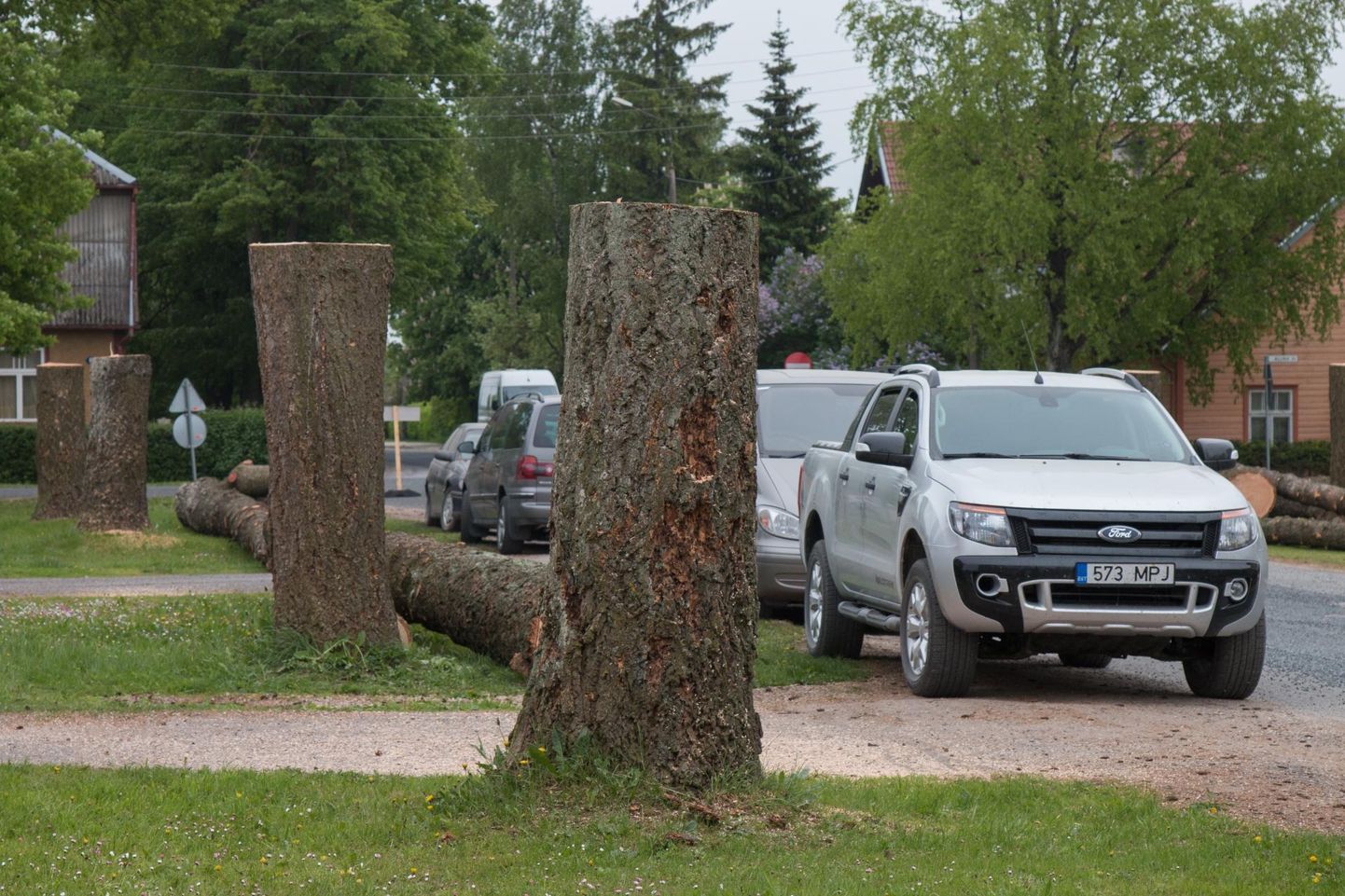 Kolmapäeval ja neljapäeval langetatakse Ilmarise tänaval ja Veske puiesteel ohtlikke puid. Samamoodi tehti paar aastat tagasi Uuel tänaval.