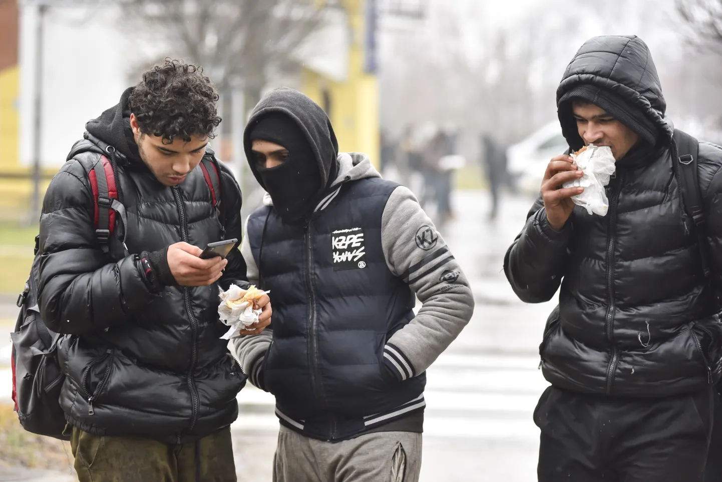 Raksta foto