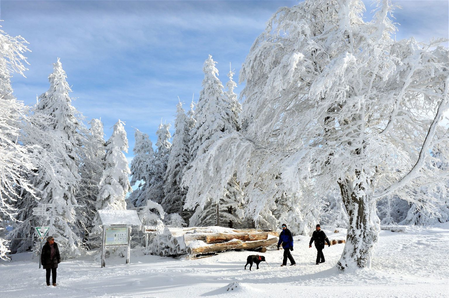Снежная зима в России