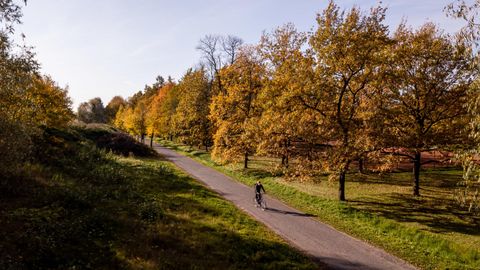 Где в Эстонии можно насладиться красками осени