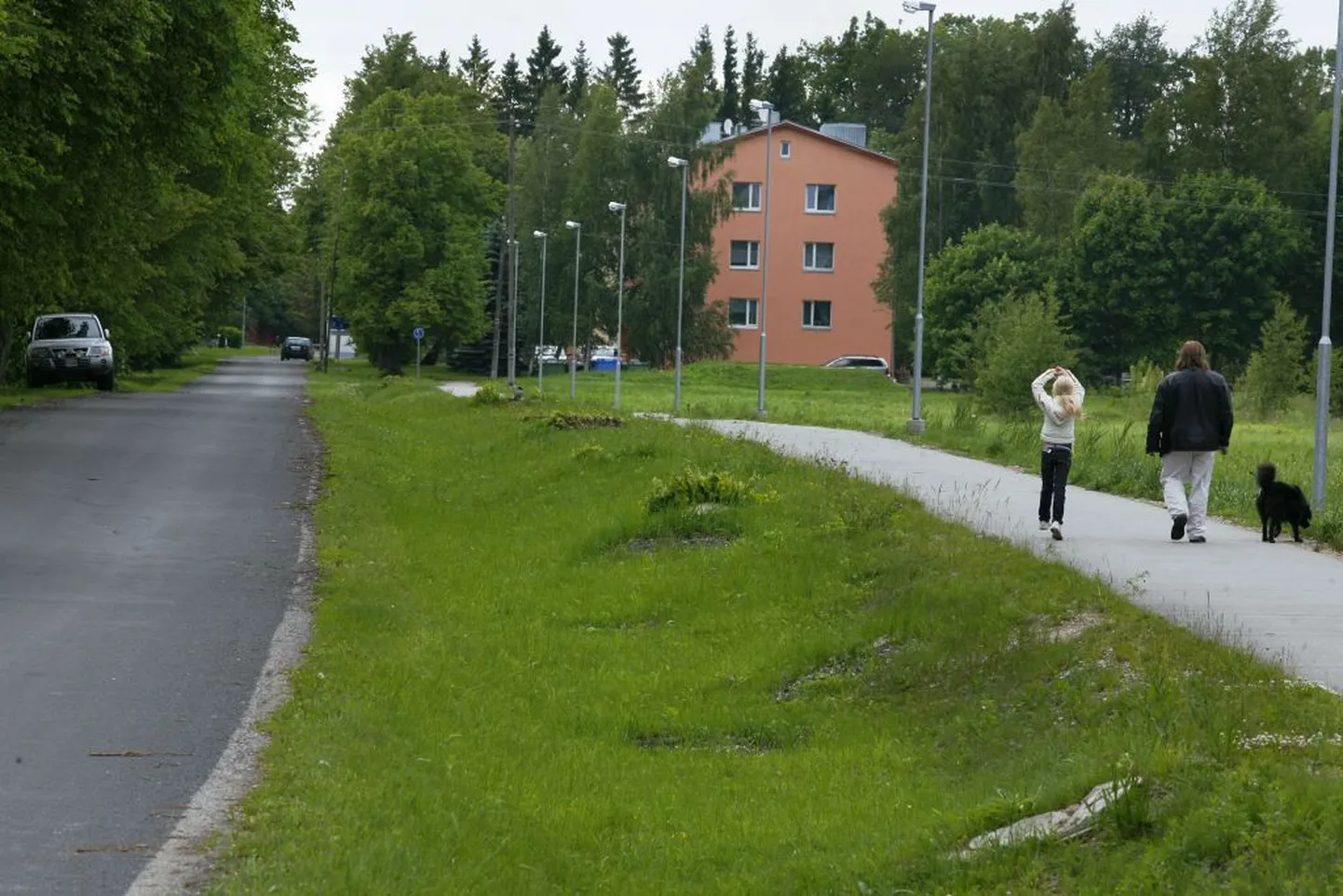 Jaanuarikuust ootas mahasaetud puuderida noori pärnaistikuid.