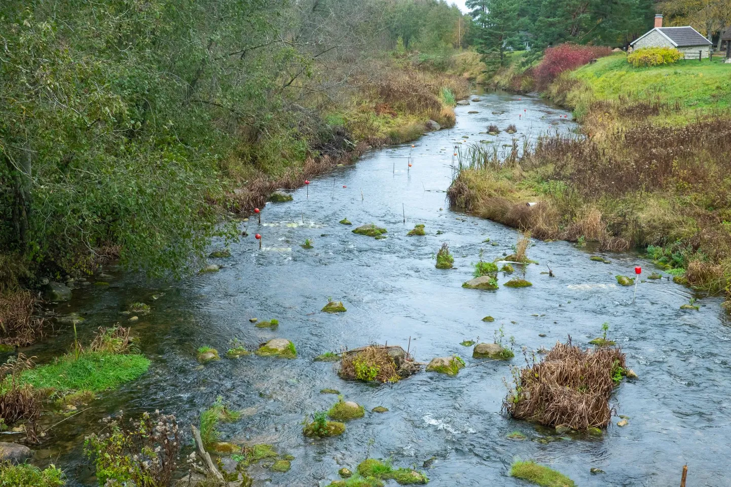 Selja jõgi.