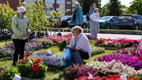 „PARKLA ON TÄIS!“ ⟩ Maaelufestival meelitas rahva Sõmerule