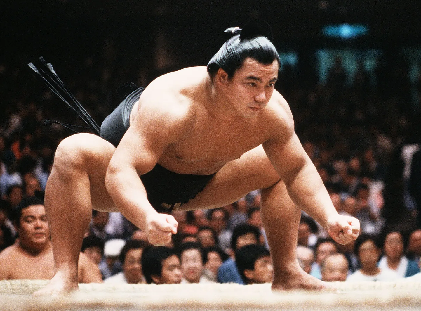 Chiyonofuji 1985. aastal.