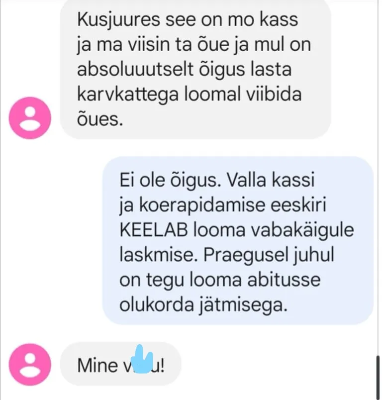 Looma omanik nõudis kassi tagasi ja seadus on tema poolt