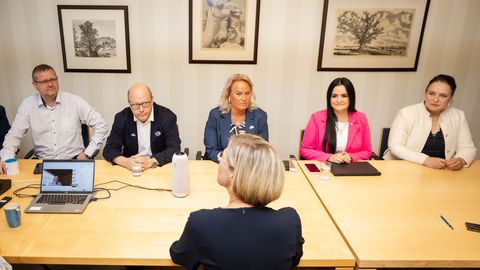 Isamaa toetab presidendivalimistel Ülle Madiset