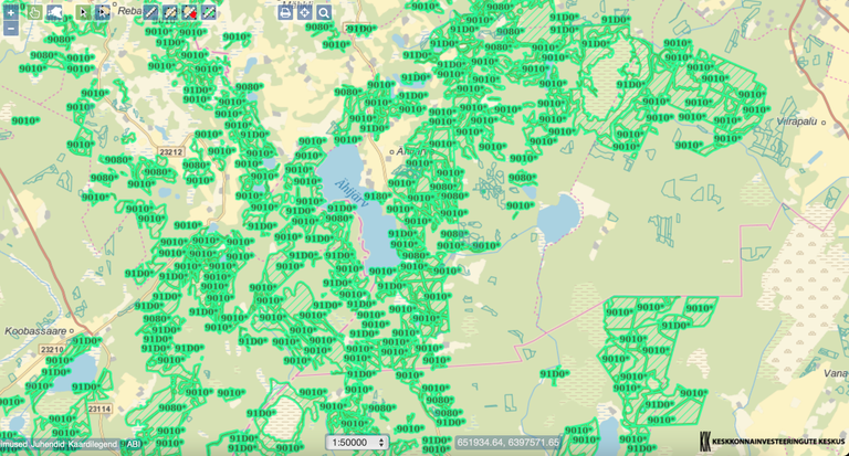 Natura metsaelupaigad. Mitmetes Eesti paikades on Metsaregistri kaart üleöö värvunud neoonroheliseks, mis tähistab metsateatiste väljastamise ja raietööde peatamist 28 kuuks.