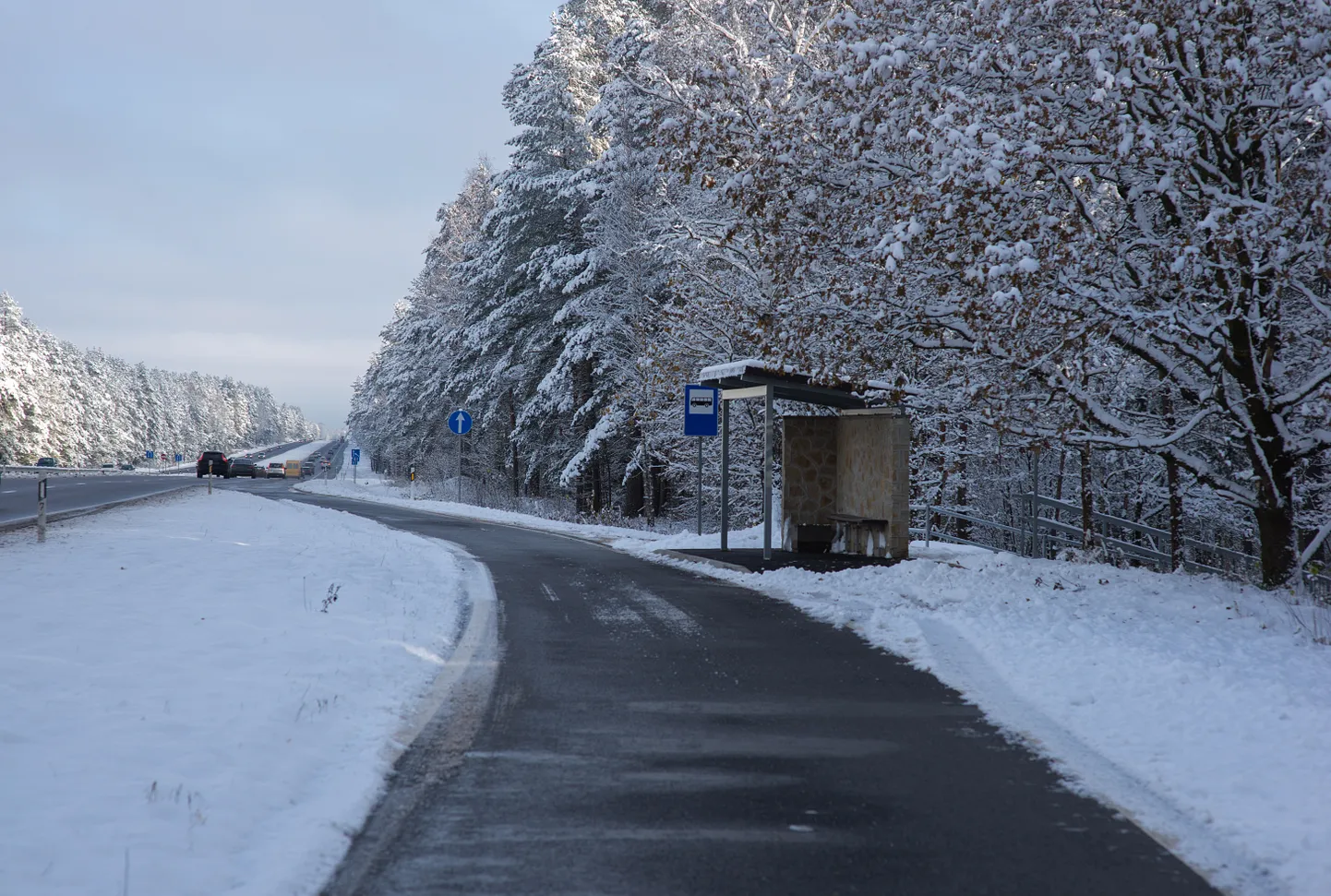 Raksta foto