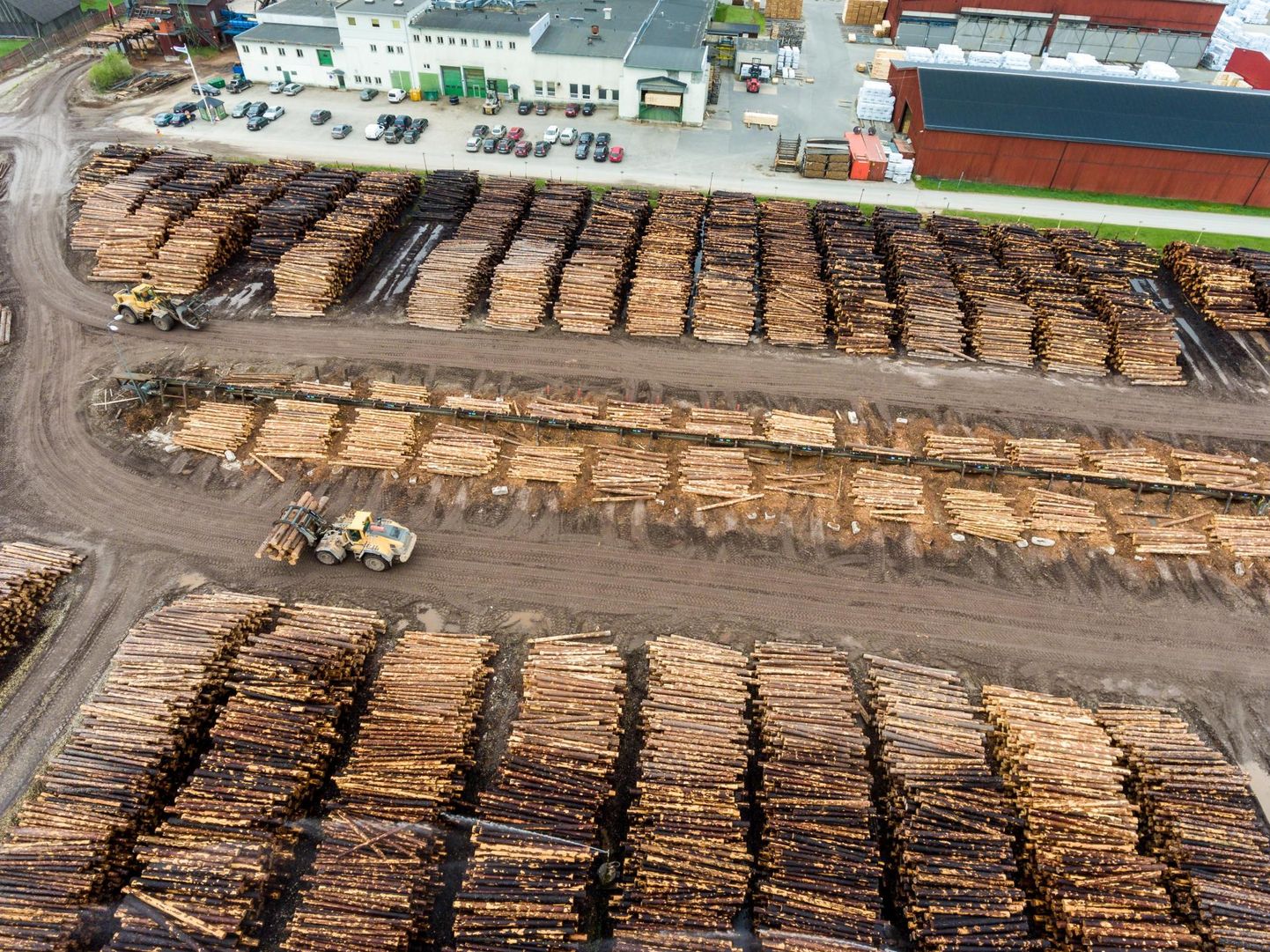 Puidutööstus vajab toorainet aasta ringi: virnastatud metsamaterjal AS Toftan puidutööstuses Võrumaal Varese külas teisipäeval.