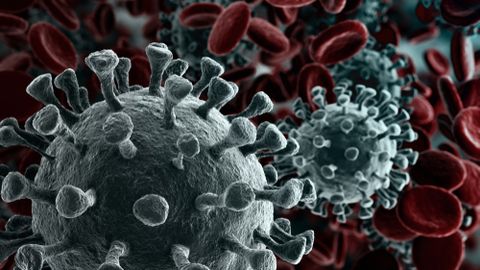 Названа образцово-показательная страна по эффективной борьбе с коронавирусом