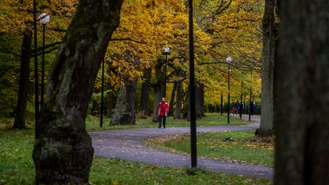 UURING ⟩ «Ma ei lähe pimedas läbi pargi» Kas naised tunnevad end Eestis päriselt turvaliselt?