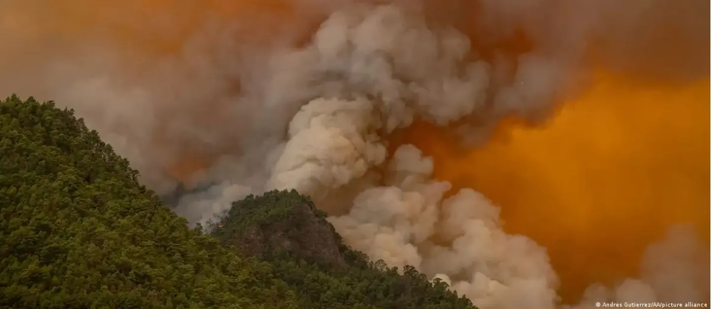 Густой дым клубится над пылающими лесами острова Тенерифе