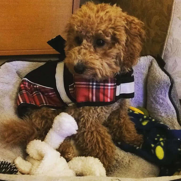 Ralph