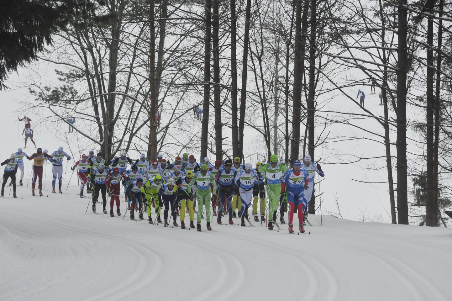 Tartu maraton.