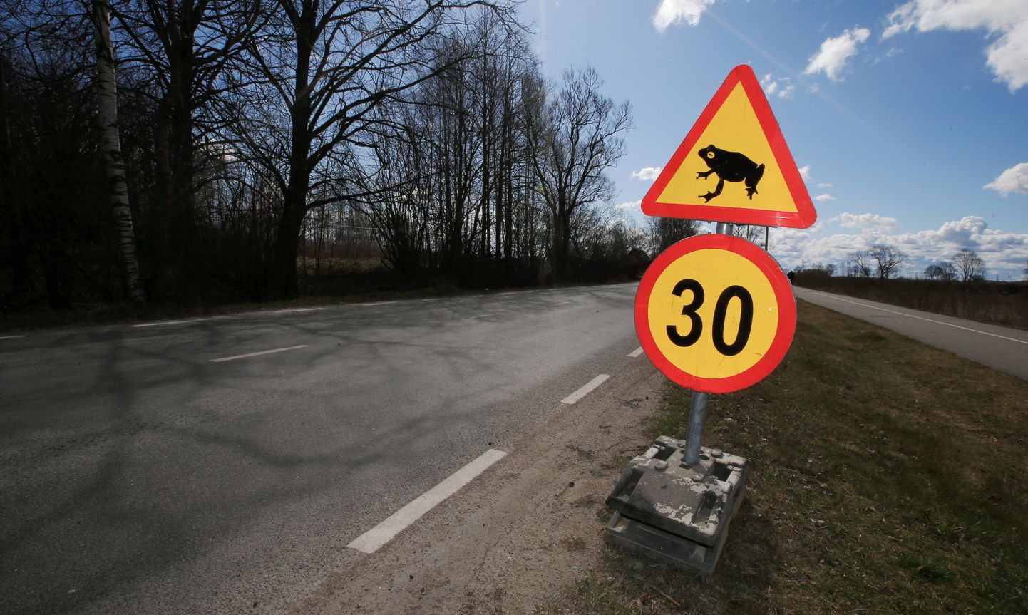 Из-за миграции лягушек на некоторых участках дороги снизили допустимую скорость.