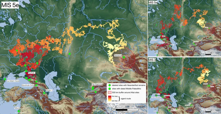 Arvutisimulatsioonid neandertallaste liikumisteekondade kohta näitavad, et soodsate soojade kliimatingimuste korral oleksid nad võinud jõuda Siberis asuvatesse Altai mägedesse vähem kui 2000 aastaga. See oleks võinud juhtuda ühel kahest muistse ajalooperioodi jooksul – MIS 5e (umbes 125 000 aastat tagasi) või MIS 3 (umbes 60 000 aastat tagasi). Simulatsioonis kujutatud kolm erinevat võimalikku teekonda järgivad põhjasuunalist rada läbi Uurali mägede ja Lõuna-Siberi, ristudes sageli teadaolevate arheoloogiliste leiukohtadega, mis pärinevad samast ajastust.