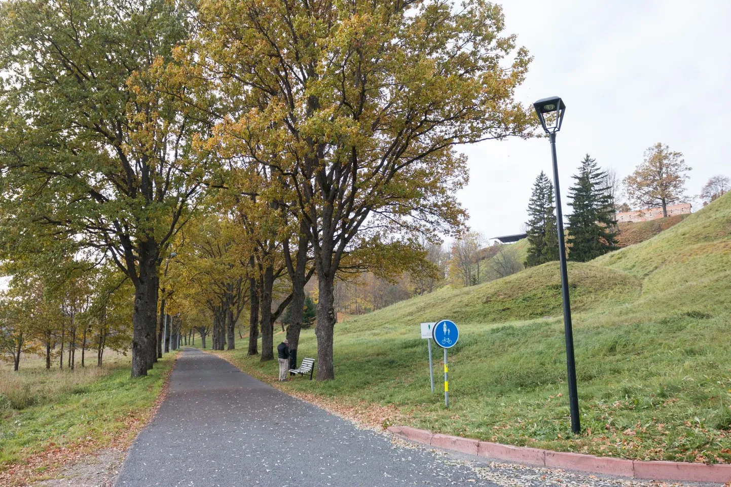 VILJANDI, EESTI,21OKT16 KAASAVA EELARVE OBJEKTID. MARKO SAARM/SAKALA
